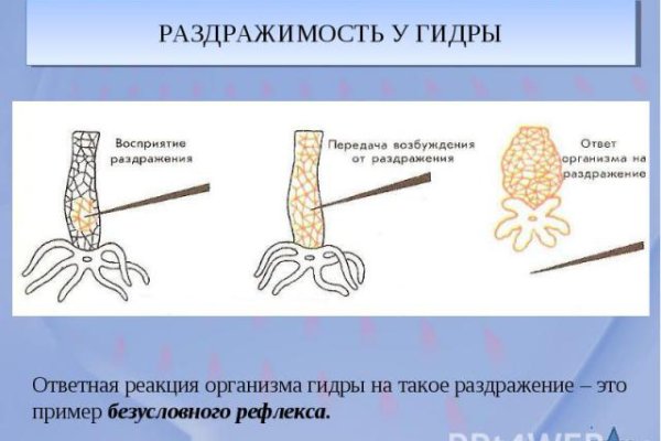 Почему не работает кракен